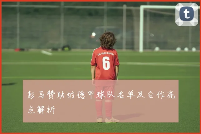 彭马赞助的德甲球队名单及合作亮点解析