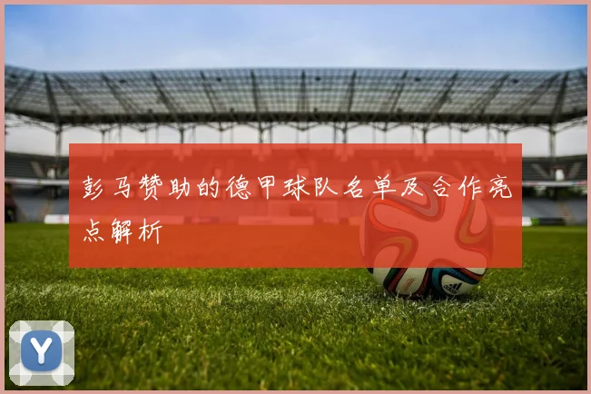 彭马赞助的德甲球队名单及合作亮点解析